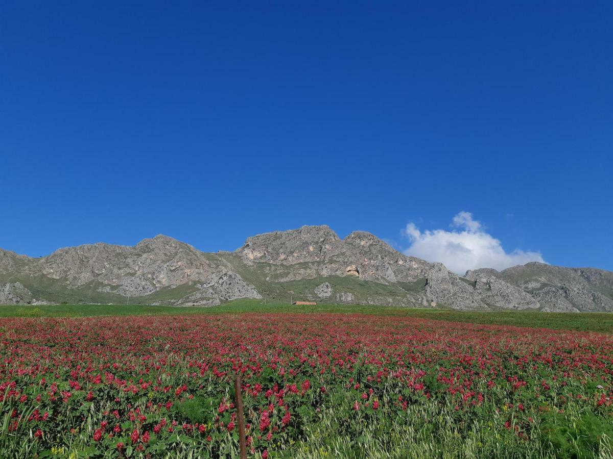Crapa Licca Villa Ventimiglia di Sicilia Exteriör bild