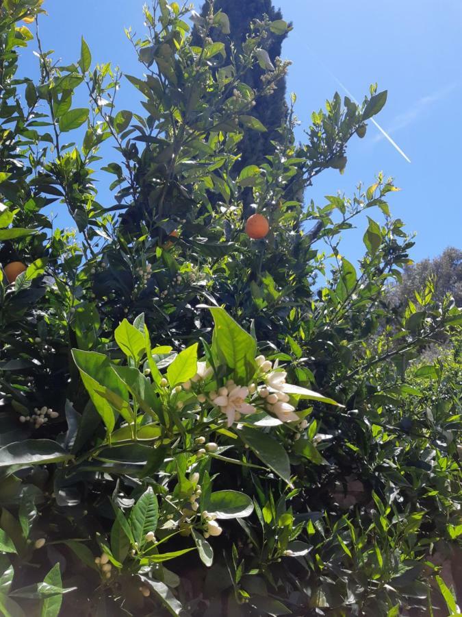 Crapa Licca Villa Ventimiglia di Sicilia Exteriör bild